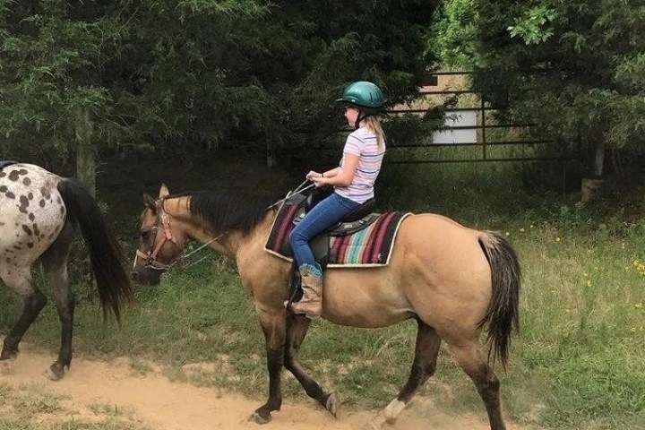 a person riding a horse